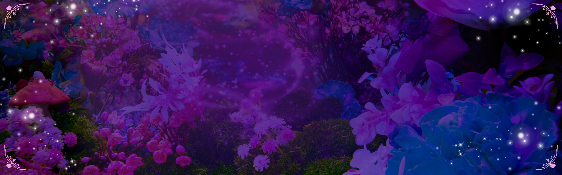 Holiday 2025 Gift Guide